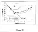 Fig. 11 - NF-kappaB oligonucleotide decoy molecules