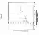 Fig. 17 - NF-kappaB oligonucleotide decoy molecules