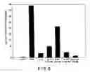 Fig. 09 - Immunostimulatory nucleic acid molecules