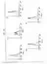Fig. 12 - Immunostimulatory nucleic acid molecules