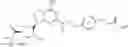 Fig. 28 - Method to reduce inflammatory response in transplanted tissue