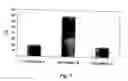 Fig. 02 - Pharmaceutical formulation for oral delivery of bisphosphates