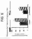 Fig. 07 - Combinatorial therapy with an acetylcholinesterase inhibitor and (3aR)-1,3a,8-trimethyl-1,2,3,3a,8,8a-hexahydropyrrolo[2,3,-b]indol-5-yl phenylcarbamate