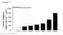 Fig. 08 - Compounds that stimulate glucose utilization and methods of use