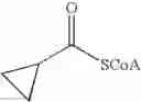 Fig. 28 - Compounds that stimulate glucose utilization and methods of use