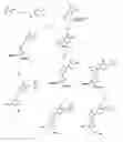 Fig. 02 - Vitamin D analogues