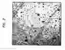 Fig. 03 - Microgels in crosslinkable organic media