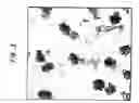 Fig. 04 - Microgels in crosslinkable organic media
