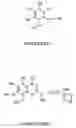 Fig. 02 - Universal support for nucleic acid synthesis