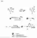 Fig. 04 - Universal support for nucleic acid synthesis
