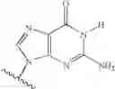 Fig. 06 - Novel 2'-C-methyl nucleoside derivatives