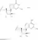 Fig. 07 - Novel 2'-C-methyl nucleoside derivatives
