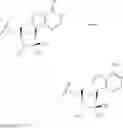 Fig. 08 - Novel 2'-C-methyl nucleoside derivatives
