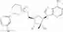 Fig. 151 - Novel 2'-C-methyl nucleoside derivatives