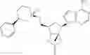 Fig. 158 - Novel 2'-C-methyl nucleoside derivatives