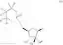 Fig. 166 - Novel 2'-C-methyl nucleoside derivatives