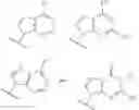 Fig. 167 - Novel 2'-C-methyl nucleoside derivatives