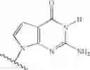 Fig. 22 - Novel 2'-C-methyl nucleoside derivatives