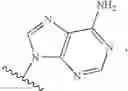 Fig. 30 - Novel 2'-C-methyl nucleoside derivatives