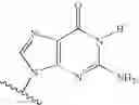 Fig. 34 - Novel 2'-C-methyl nucleoside derivatives