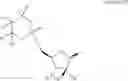 Fig. 44 - Novel 2'-C-methyl nucleoside derivatives