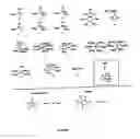 Fig. 02 - Process for the catalytic synthesis of biaryls and polymers from aryl compounds
