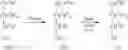 Fig. 08 - Process for the preparation of thioalkylamine derivatives