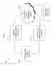 Fig. 02 - Systems and methods for therapeutically treating neuro-psychiatric disorders and other illnesses