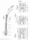 Fig. 02 - Device at medullary nails for fixation of bone fragments at bone fractures