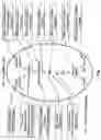 Fig. 02 - Electrical devices and anti-scarring agents