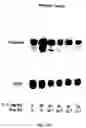 Fig. 22 - Electrical devices and anti-scarring agents