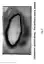 Fig. 09 - Polymer compositions and methods for their use
