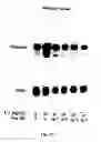 Fig. 22 - Electrical devices and anti-scarring agents