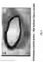 Fig. 09 - Electrical devices and anti-scarring agents