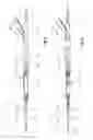 Fig. 09 - Introducer for an iliac side branch device