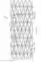 Fig. 33 - Flexible and expandable stent