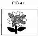 Fig. 44 - Image editing device and print/embroidery data creating device