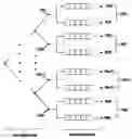 Fig. 01 - Time-addressed database management system