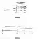 Fig. 07 - System for selecting a connectivity mechanism