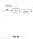 Fig. 06 - Methods for generating data for describing scalable media