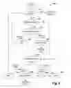 Fig. 09 - Interaction with nested and non-nested streams
