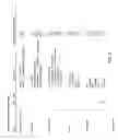 Fig. 06 - Generative programming system and method employing focused grammars