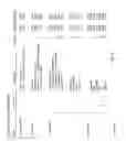Fig. 07 - Generative programming system and method employing focused grammars