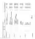 Fig. 08 - Generative programming system and method employing focused grammars