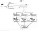 Fig. 01 - Autonomic workload classification using predictive assertion for wait queue and thread pool selection