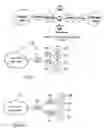 Fig. 02 - Hierarchical firewall load balancing and L4/L7 dispatching