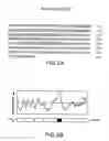 Fig. 03 - Lymphocyte surface receptor that binds caml and methods of use thereof