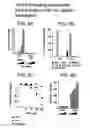 Fig. 06 - Lymphocyte surface receptor that binds caml and methods of use thereof