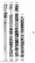 Fig. 02 - AXMI-010, a delta-endotoxin gene and methods for its use