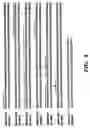 Fig. 06 - Grapevine leafroll virus (type 2) proteins and their uses